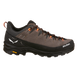 Кроссовки мужские Salewa Alp Trainer 2 M, Brown bungee cord, 43 (SLW 013.001.5636)