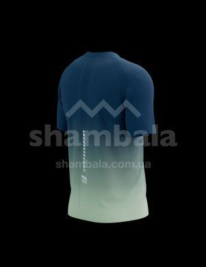 Футболка чоловіча Compressport Performance SS Tshirt M, Poseidon/Ice Flow, M (7630102584493)