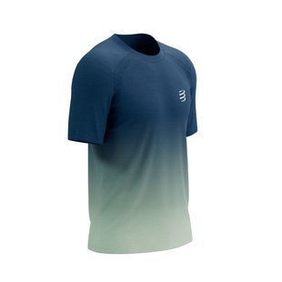 Футболка чоловіча Compressport Performance SS Tshirt M, Poseidon/Ice Flow, M (7630102584493)