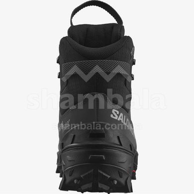 Черевики чоловічі Salomon Crosstrak Powder WP, Asphalt/Black/Sharkskin, 40 (SLM CRRKP.475696-6,5)