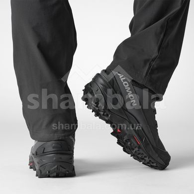 Черевики чоловічі Salomon Crosstrak Powder WP, Asphalt/Black/Sharkskin, 40 (SLM CRRKP.475696-6,5)