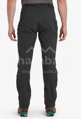 Штаны мужские Montane Terra Mission Pants Regular, L - Black (MTMPRBLAN6)