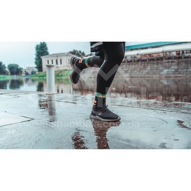 Шкарпетки водонепроникні Dexshell Running, Blue Strips, L (DS DS645ABLL)