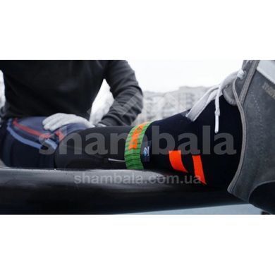 Шкарпетки водонепроникні Dexshell Running, Blue Strips, L (DS DS645ABLL)
