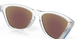 Очки Oakley Frogskin, Crystal Clear/Prizm Sapphire Iridium (OAK 9013-D055)