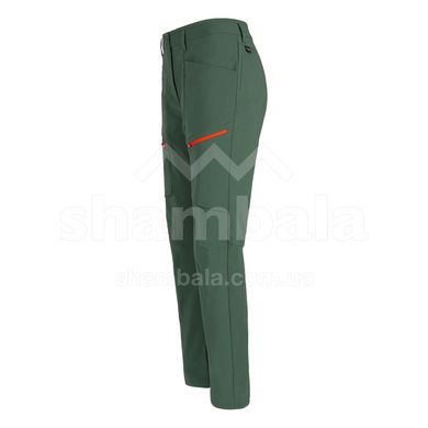 Штаны женские Salewa Puez DST W Cargo Pant, green, 40/34 (283115321)