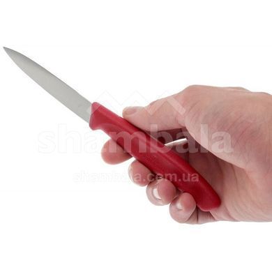 Нож для овощей Victorinox SwissClassic Paring 6.7601 (лезвие 80мм)