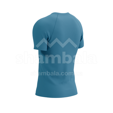 Футболка чоловіча Compressport Training SS Logo Tshirt M, Niagara Blue, S (7630102564808)