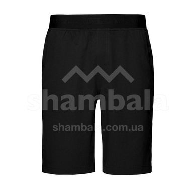 Шорты мужские Black Diamond M Sierra Shorts, Black, L (BD 7511010002LRG1)