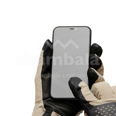 Рукавички чоловічі Black Diamond Alpine Softshell Gloves, Moonstone, XL (BD 8017432018XLG1)