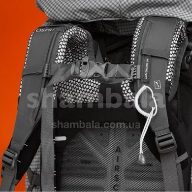 Рюкзак женский Osprey Ariel Pro 75, Silver Lining, WXS/WS (843820180121)