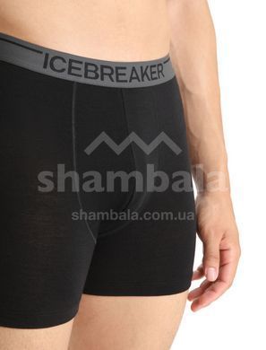 Термотруси чоловічі Icebreaker BF 150 Mens Anatomica Boxers, Black, XXL (ICB 103029,0101-XXL)