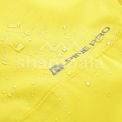 Штаны мужские Alpine Pro Sango 8, L - Yellow (007.012.1048)