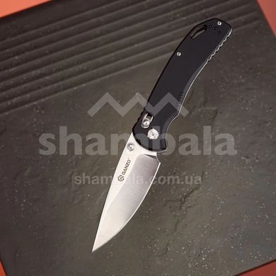 Ніж складаний Ganzo G7531, Black (6955800403183)