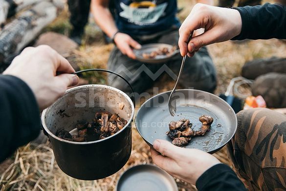 Титанова ловилка Lifeventure Titanium Forkspoon (9518)