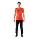 Футболка мужская Dynafit Traverse 2 M S/S Tee, р.48/M - Orange (70670 4490)