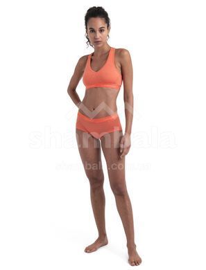 Бра Icebreaker BF 150 Wmn Merino Sprite Racerback Bra, Redwood, L (ICB 103020,632-L)