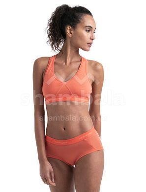 Бра Icebreaker BF 150 Wmn Merino Sprite Racerback Bra, Redwood, L (ICB 103020,632-L)