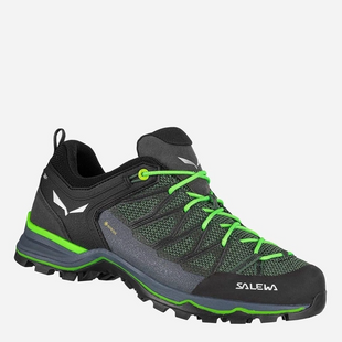 Кроссовки мужские Salewa MS MTN Trainer LITE GTX, Myrtle/Ombre Blue, 46 (SLW 61361,5945-46)