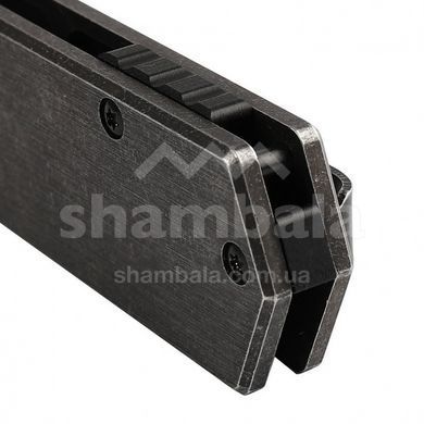 Нож складной Ganzo Firebird FH13SS, Black (GNZ FH13-SS)