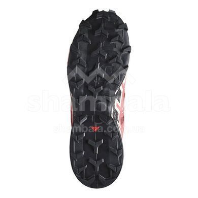 Кросівки жіночі Salomon Speedcross 6 W, Cow Hide/Black/English Rose, 5 (SLM 473011-5)