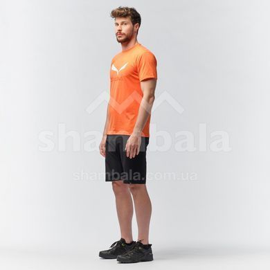 Футболка мужская Salewa SOLIDLOGO DRI-REL M S/S TEE, White, 48/M (27018/0010 48/M)