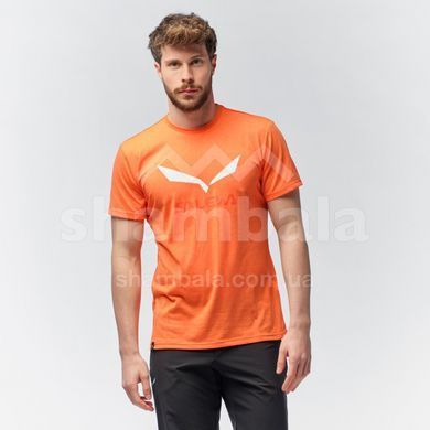 Футболка мужская Salewa SOLIDLOGO DRI-REL M S/S TEE, White, 48/M (27018/0010 48/M)