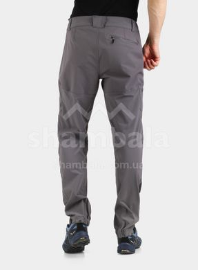 Штаны мужские Black Diamond Swift Pants, S - Granite (BD 743004.1007-S)