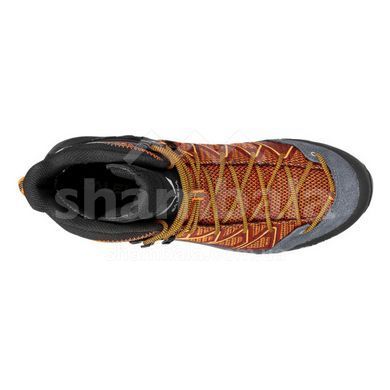 Ботинки мужские Salewa MS MTN Trainer LITE MID GTX Brown, 42,5 (SLW 61359.7953-42.5)