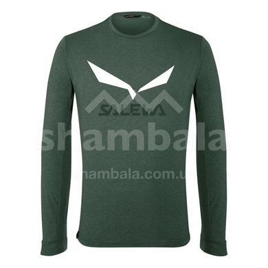 Чоловіча футболка Salewa Solidlogo Dry'ton Men's T-Shirt, Green, 46 / S (273400698)