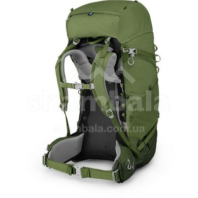 Рюкзак детский Osprey Ace 75, Venture Green (845136093416)