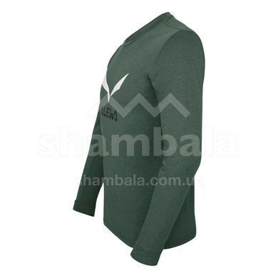 Чоловіча футболка Salewa Solidlogo Dry'ton Men's T-Shirt, Green, 46 / S (273400698)