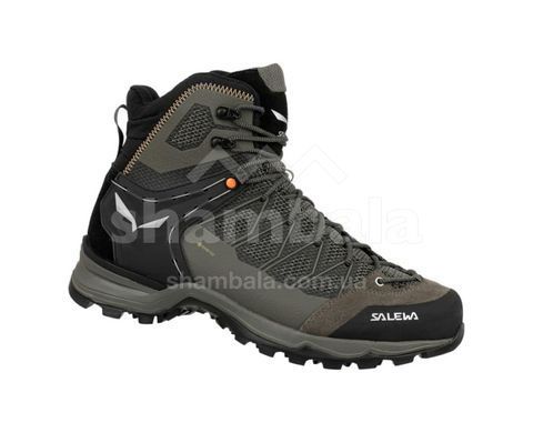 Ботинки мужские Salewa MS MTN Trainer LITE MID GTX Brown, 42,5 (SLW 61359.7953-42.5)