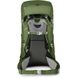 Рюкзак детский Osprey Ace 75, Venture Green (845136093416)