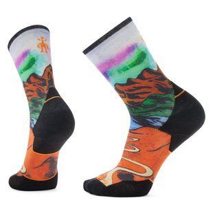Шкарпетки чоловічі Smartwool Trail Run Targeted Cushion Singletrack Print, Orange Rust, XL (SW SW002267.117-XL)