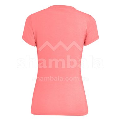 Жіноча футболка Salewa Lines Graphic W T-Shirt, Shell Pink Melange, XS (SLW 28064.6419-XS)
