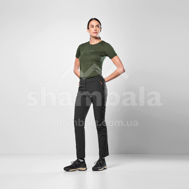 Штани жіночі Salewa Puez Talvena DST Pant W, Etruscan Red, 40/34 (28880/1980 40/34)