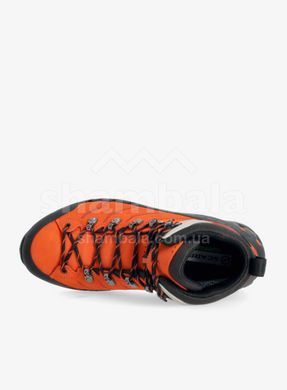 Черевики Scarpa Cyclone-S GTX, Tonic/Gray, 43 (8057963120346)