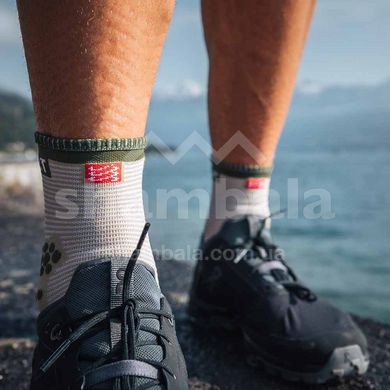 Шкарпетки Compressport Pro Racing Socks V3.0 Run High, Dusty Olive, T1 (RSHV3-602-0T1)