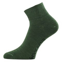 Термошкарпетки трекінгові Lasting FWE 616 S Green (FWE-616S)