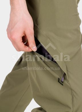Штаны мужские Black Diamond Alpine Light Pants, S - Burnt Olive (BD XPU2.330-S)