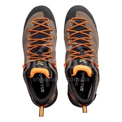 Кросівки чоловічі Salewa Wildfire Leather GTX M, brown, 43 (61416/7953 9)