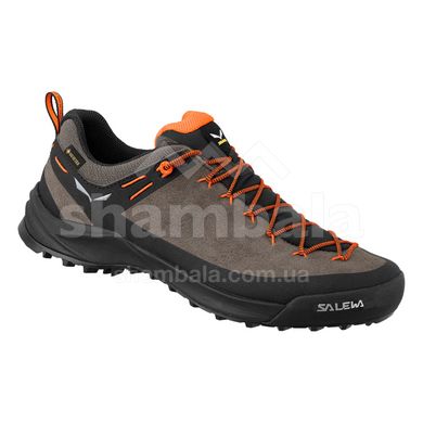 Кроссовки мужские Salewa Wildfire Leather GTX M, brown, 43 (61416/7953 9)