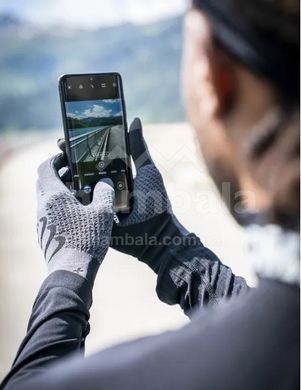 Перчатки Compressport 3D Thermo Gloves, Asphalte/Black, L/XL (7630102552300)