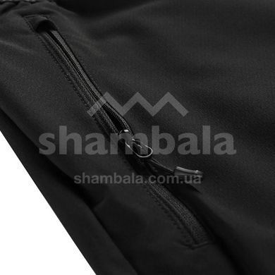 Штани чоловічі Alpine Pro RAMEL 2, Black, 44 (007.023.0131)
