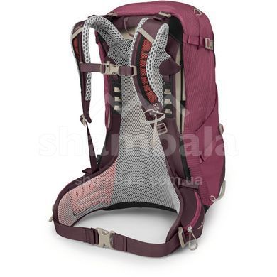 Рюкзак женский Osprey Sirrus 34, Elderberry Purple/Chiru Tan, O/S (843820177237)