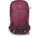 Рюкзак женский Osprey Sirrus 34, Elderberry Purple/Chiru Tan, O/S (843820177237)