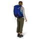 Рюкзак женский Osprey Sirrus 34, Elderberry Purple/Chiru Tan, O/S (843820177237)