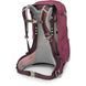 Рюкзак женский Osprey Sirrus 34, Elderberry Purple/Chiru Tan, O/S (843820177237)