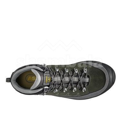 Напівчеревики чоловічі Asolo Falcon LTH GV, Grey/Light Black, 43 2/3 (ASL A40044.B036-9.5)